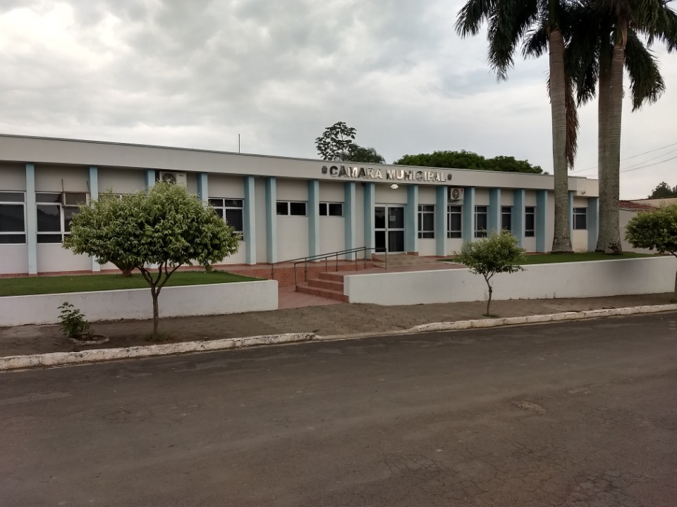 ÔNIBUS LILÁS EM CONSELHEIRO MAIRINCK-PR